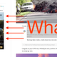 Illustration for article titled Free Dinner from Lexus in a Jalopnik Sidebar Ad? An Investigative Report